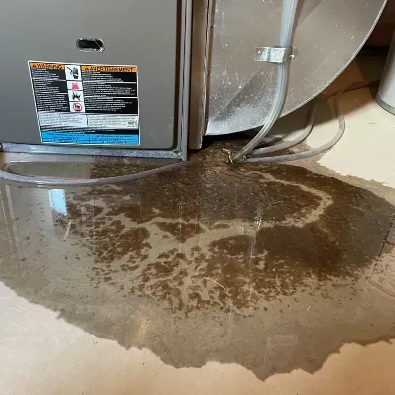 Appliance Leak Cleanup in Countryside, IL